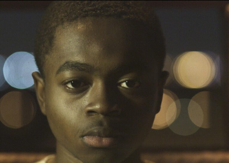 The Daily Orca - The Transfiguration (2017)