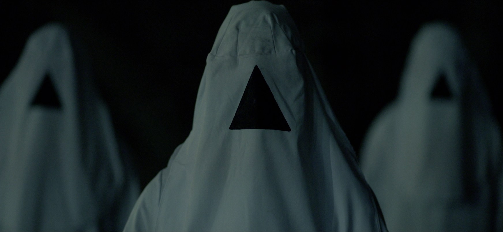 The Daily Orca - the Void (2017)