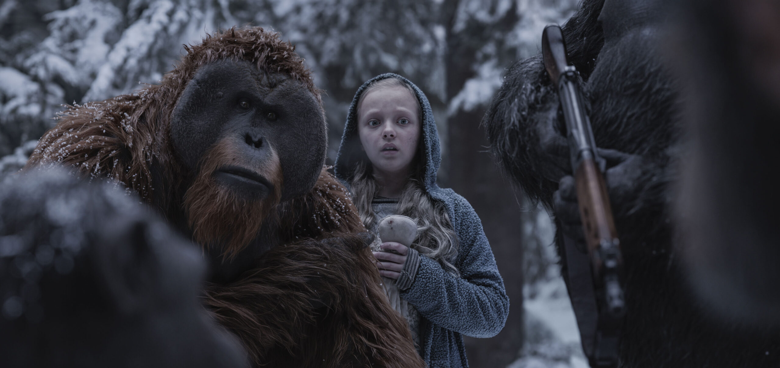 The Daily Orca - War for the Planet of the Apes (2017)