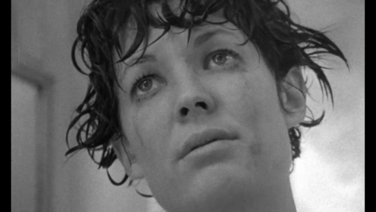 The Daily Orca - Faces (1968)