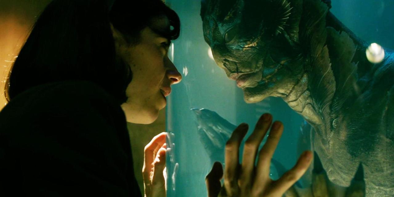 The Daily - The Shape of Water (2017)