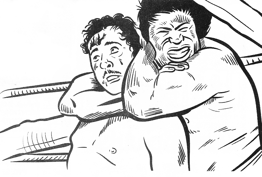 The Daily Orca-One Punk's Guide to Professional Wrestling-Bobo & the Sheik by Art Fuentes