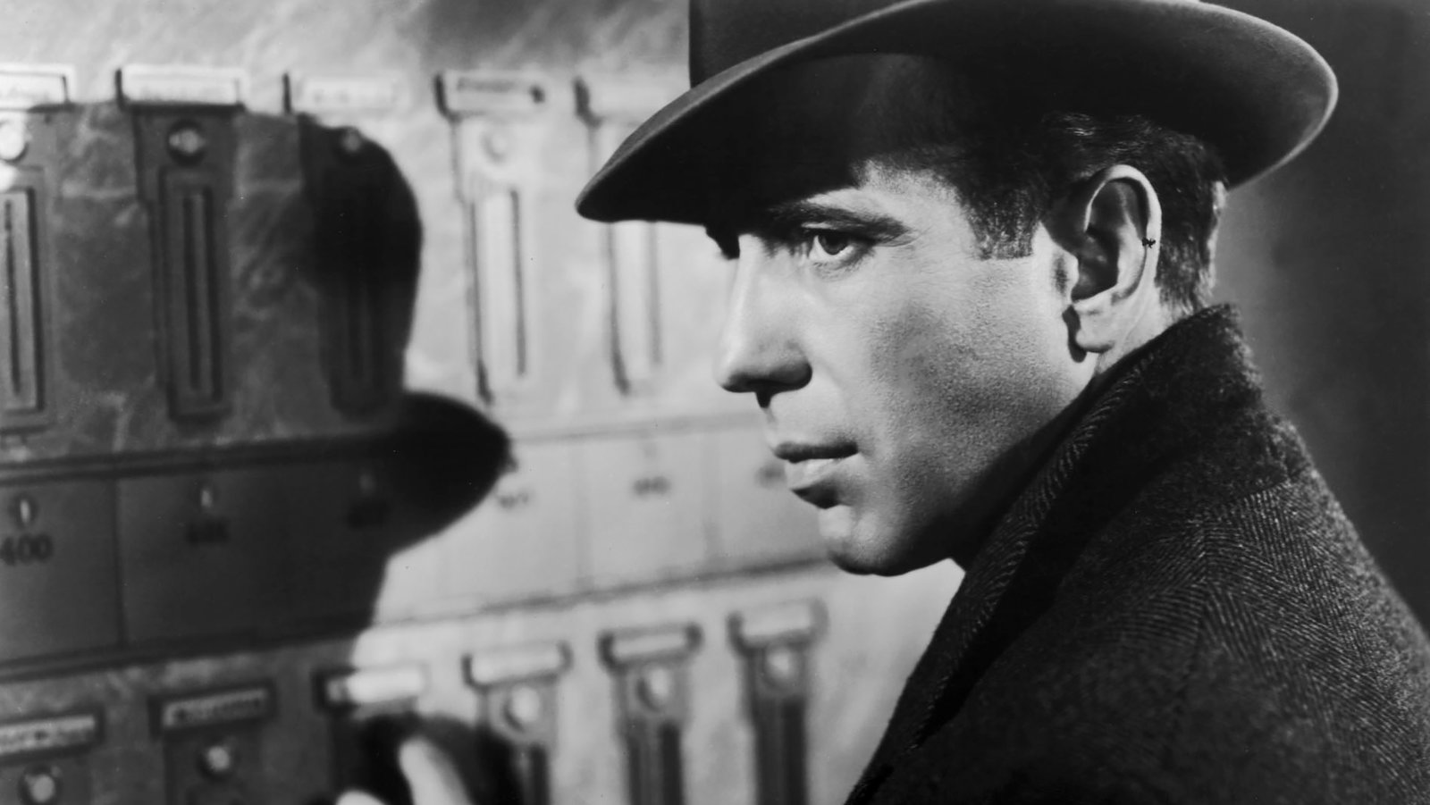 The Daily -The Maltese Falcon (1941)