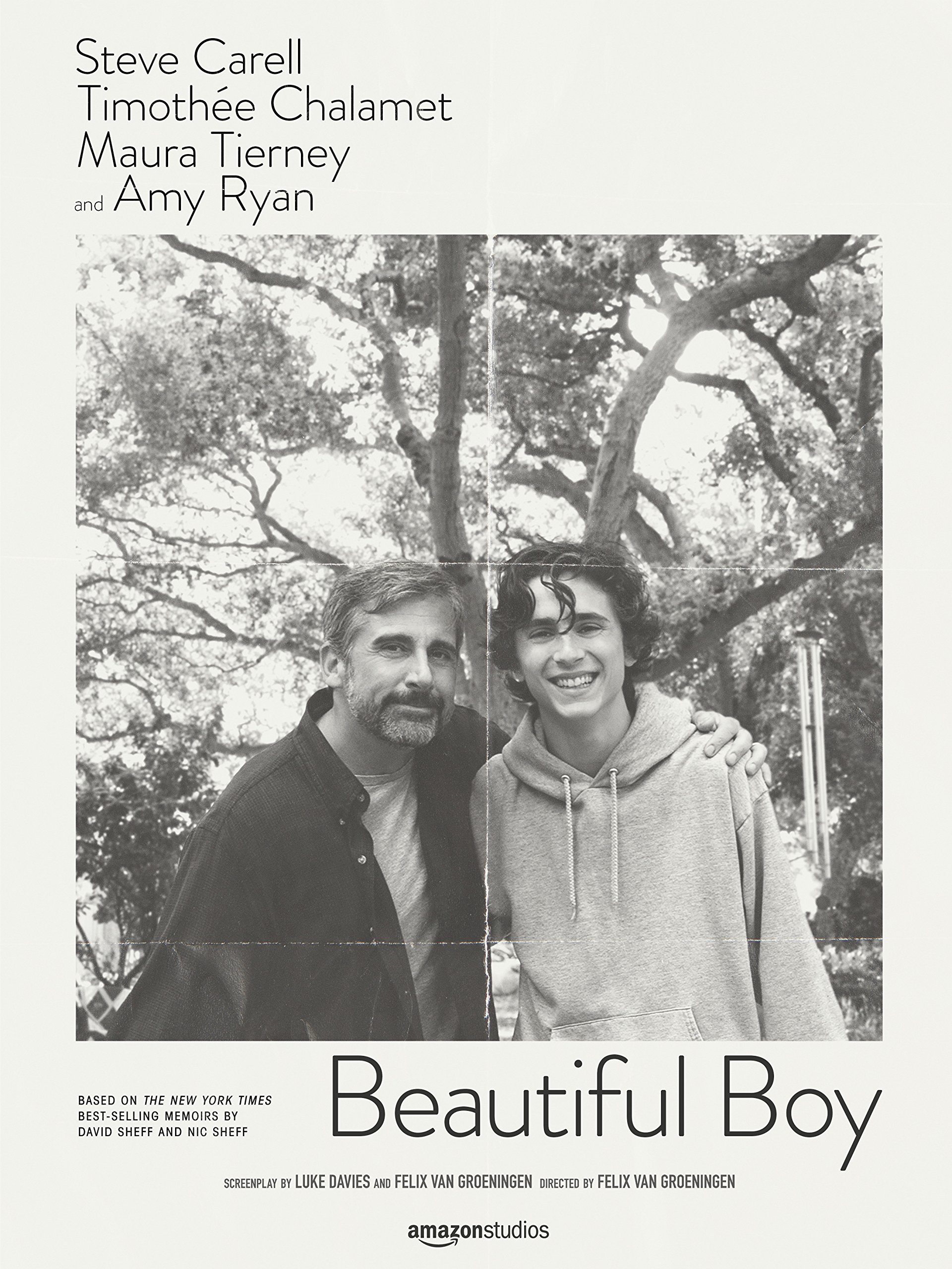 Film Review: Beautiful Boy (2018)