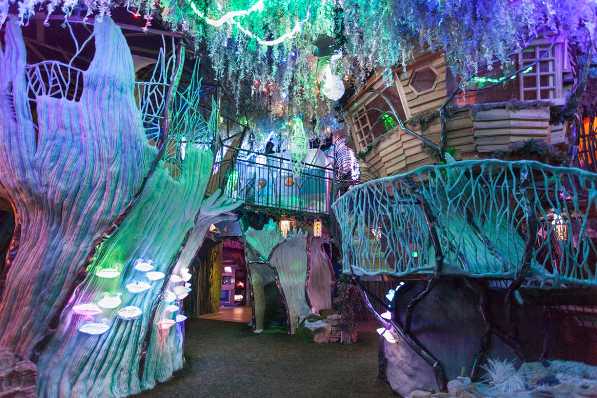 The Daily Orca - Meow Wolf: Origin Story (2018)