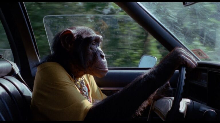 The Daily Orca - Carnival Magic (1983)