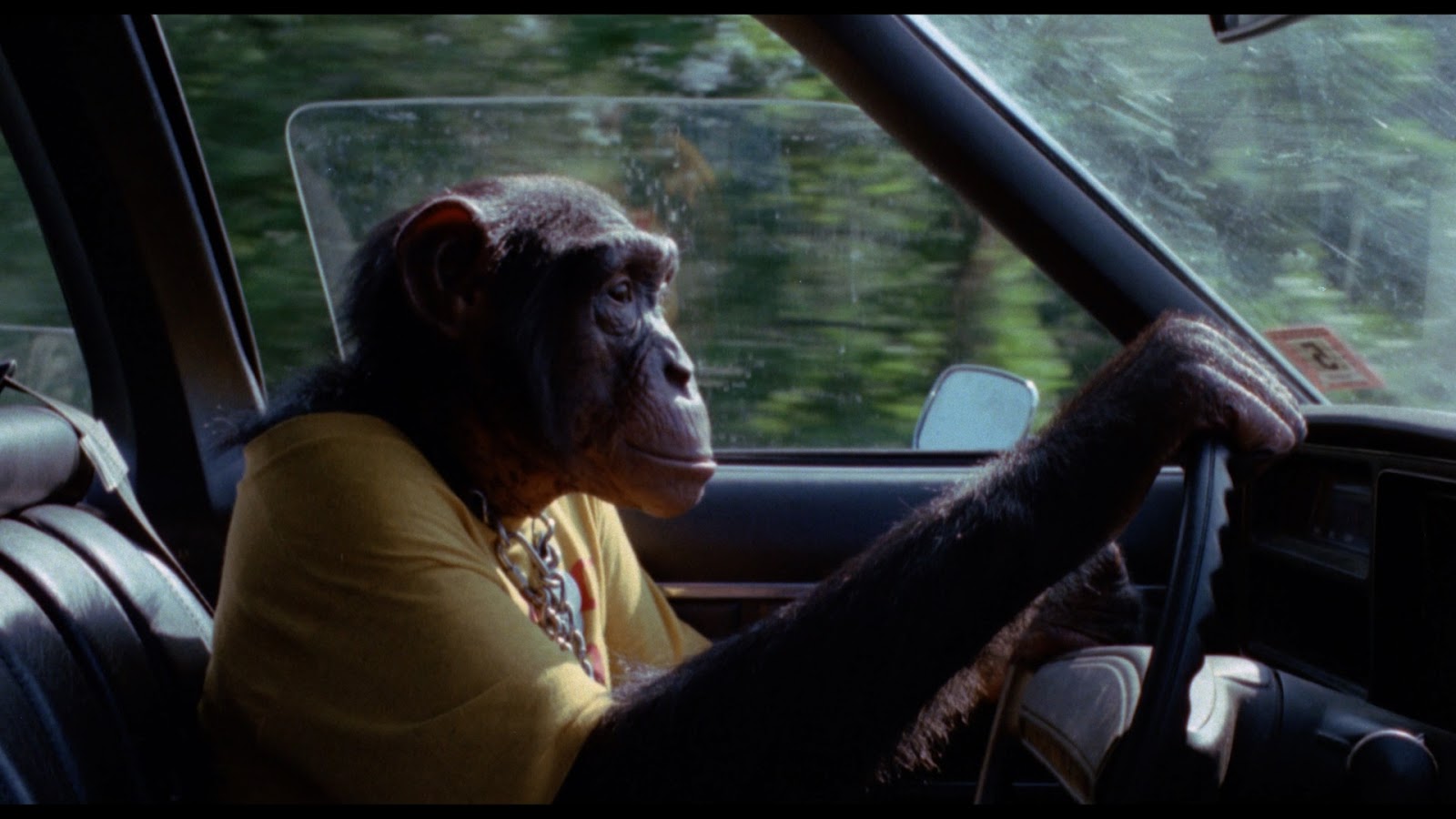 The Daily Orca - Carnival Magic (1983)