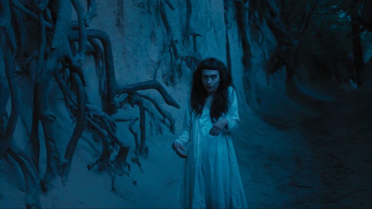 The Daily Orca - The Field Guide to Evil (2018)