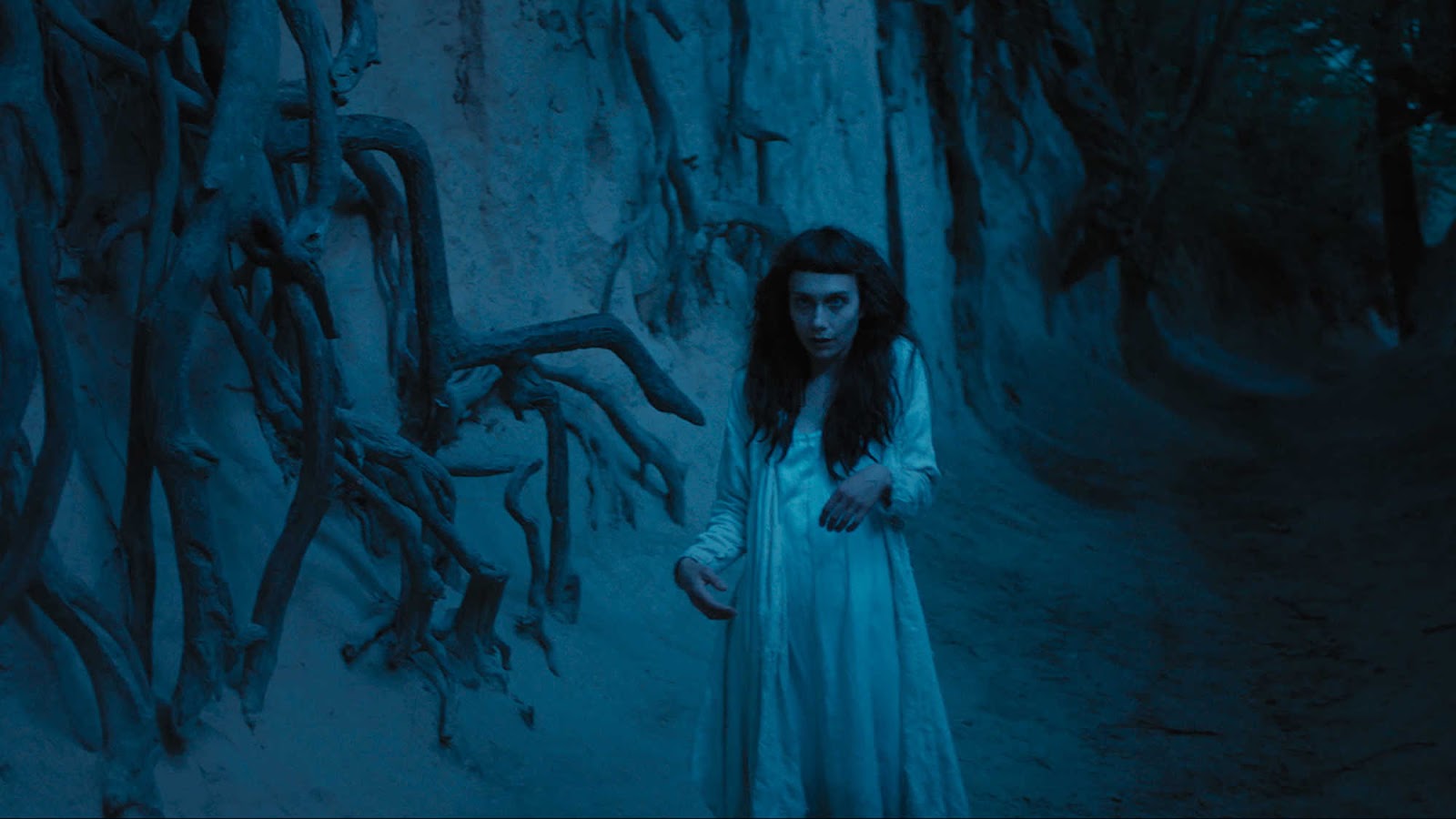 The Daily Orca - The Field Guide to Evil (2018)