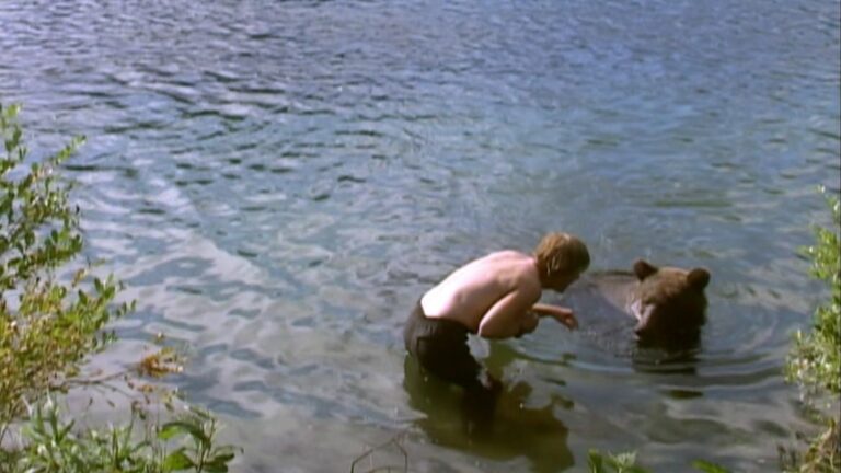 The Daily Orca - Grizzly Man (2005)
