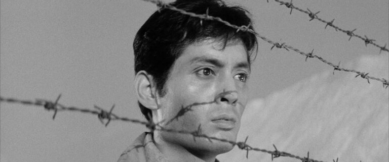 The Daily - The Human Condition (1959)