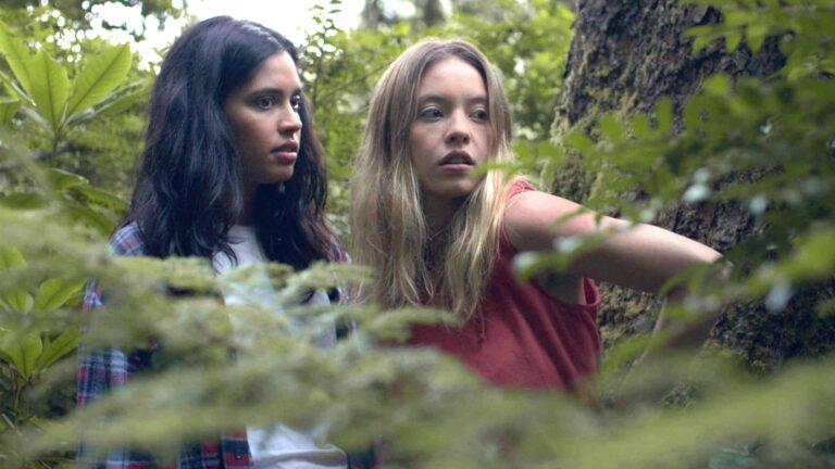 The Daily Orca - Clementine (2020)