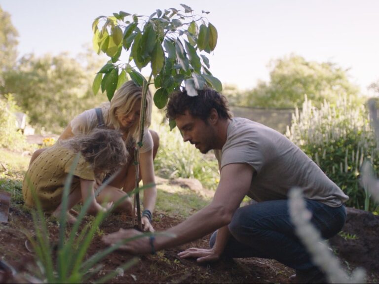 The Daily Orca - 2040 (2020)