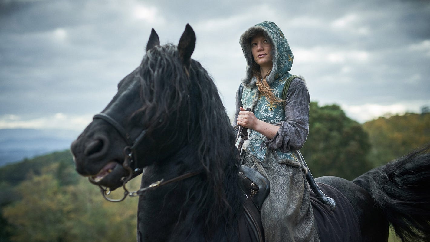 The Daily Orca - Judy & Punch (2020)