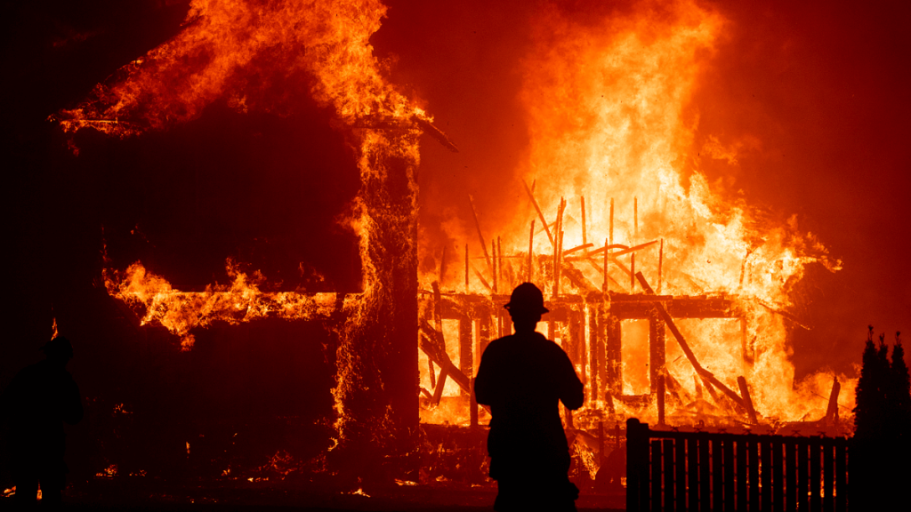 The Daily Orca-Film Review-Rebuilding Paradise (2020)