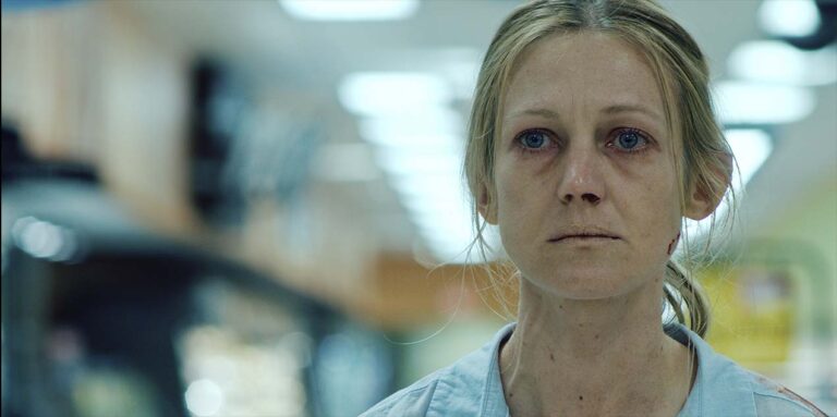 The Daily Orca - The Swerve (2020)