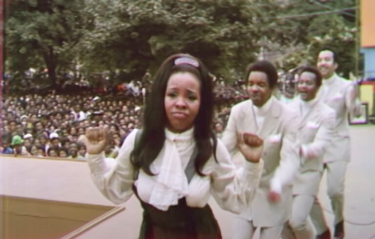 The Daily Orca - Summer of Soul (2021)