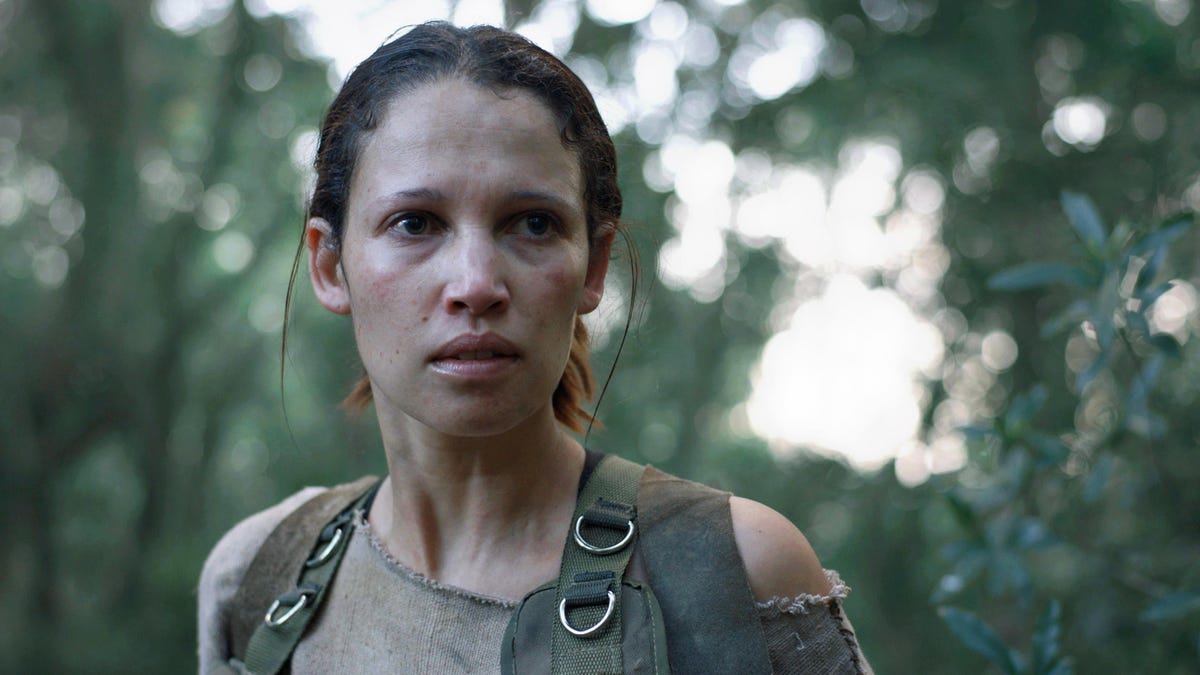 The Daily Orca - Gaia (2021)