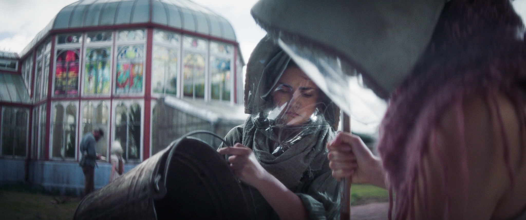 The Daily Orca - Glasshouse (2021)