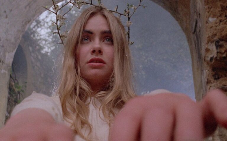 The Daily Orca -Woodlands Dark and Days Bewitched (2021)