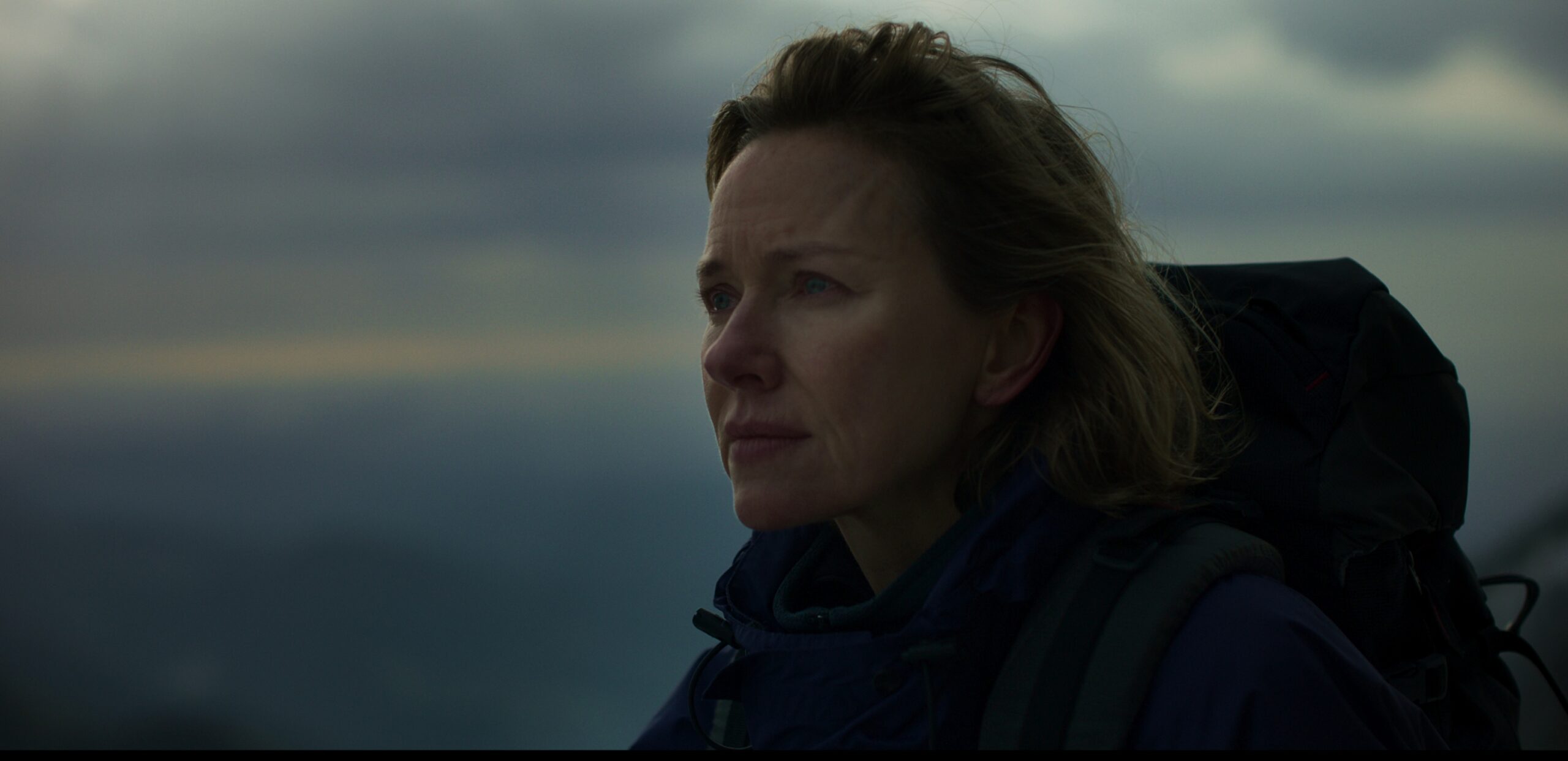 The Daily Orca -Infinite Storm (2022)