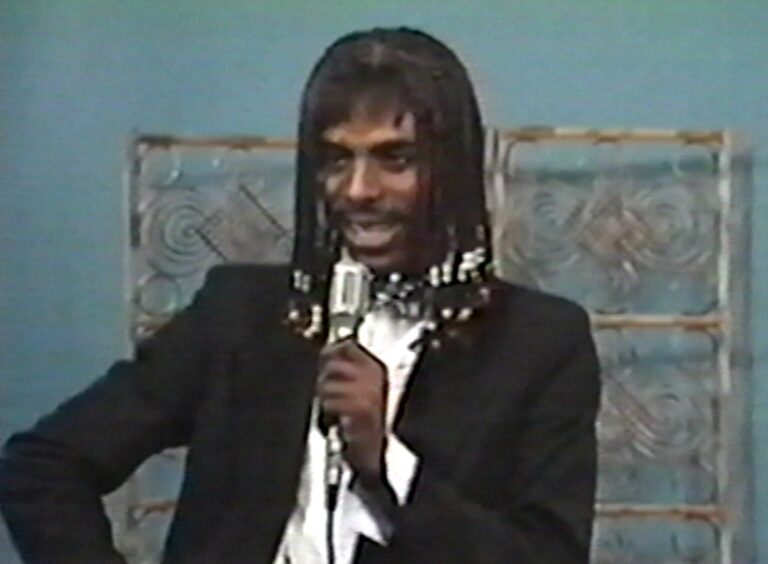 The Daily Orca - The Stairway to Stardom Mixtape (2022)