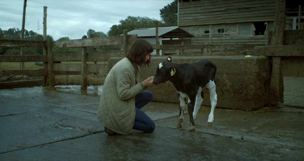 The Daily Orca-Film Review-The Cow Who Sang a Song Into the Future (2022)