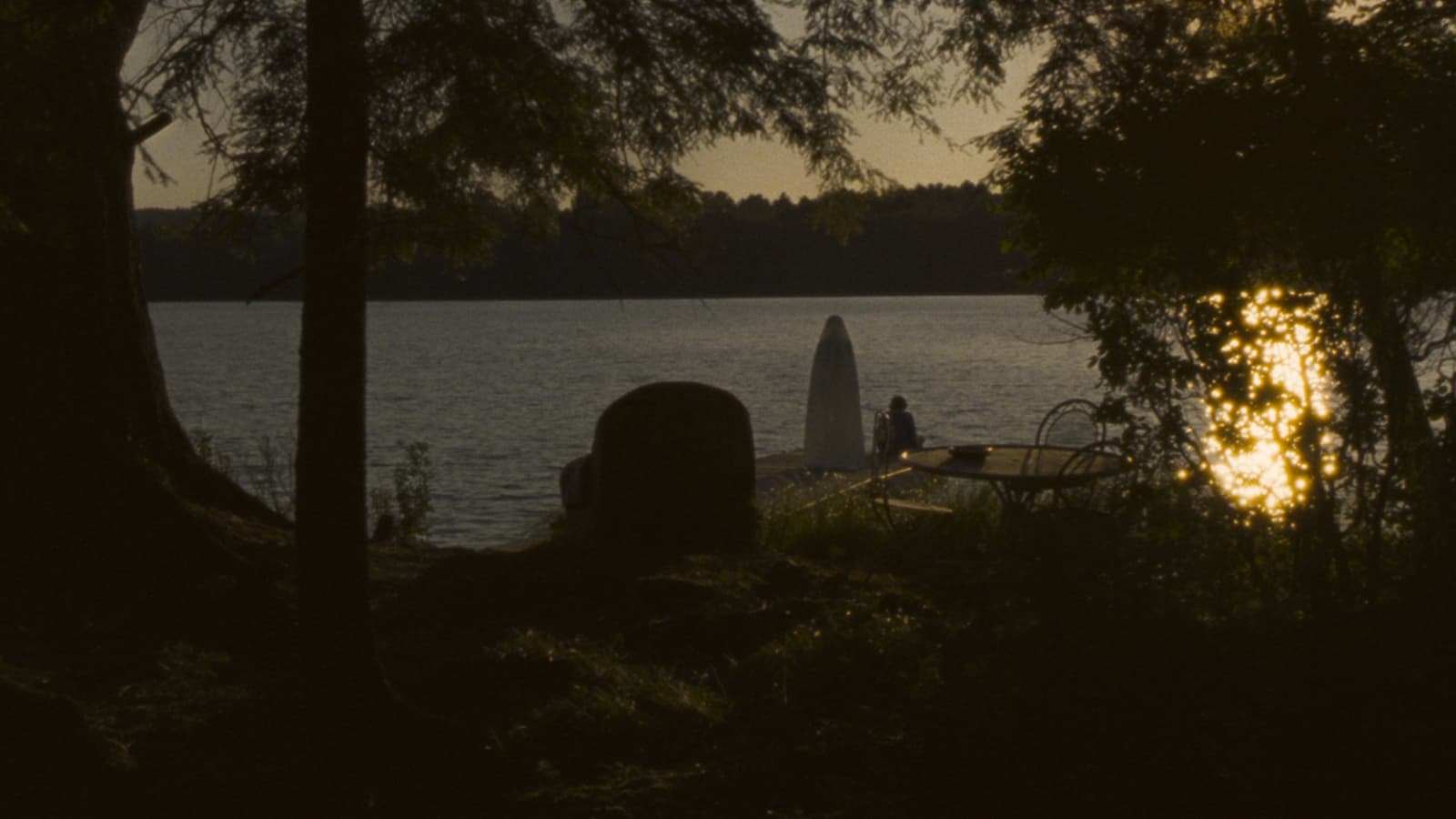 The Daily Orca-Film Review-Falcon Lake (2023)
