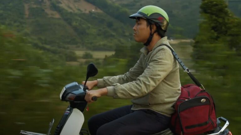 The Daily Orca - Inside the Yellow Cocoon Shell (2024)