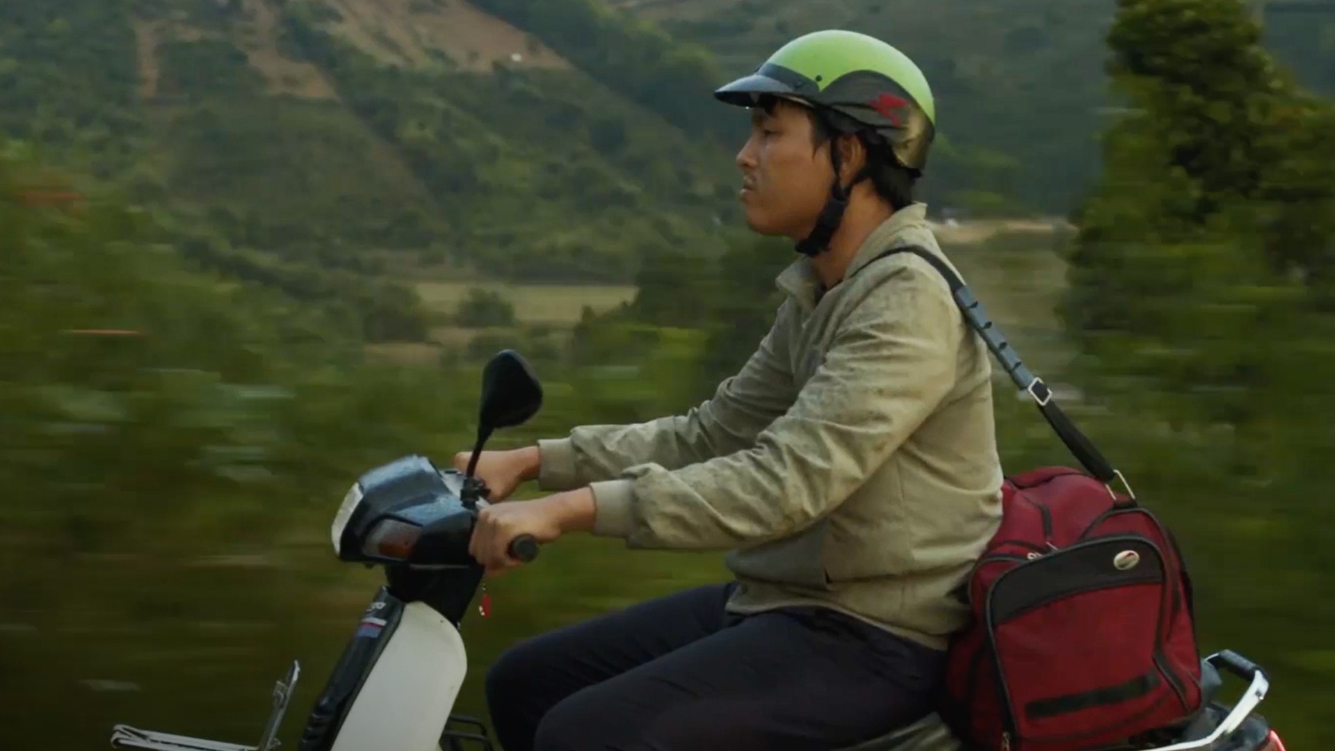 The Daily Orca - Inside the Yellow Cocoon Shell (2024)