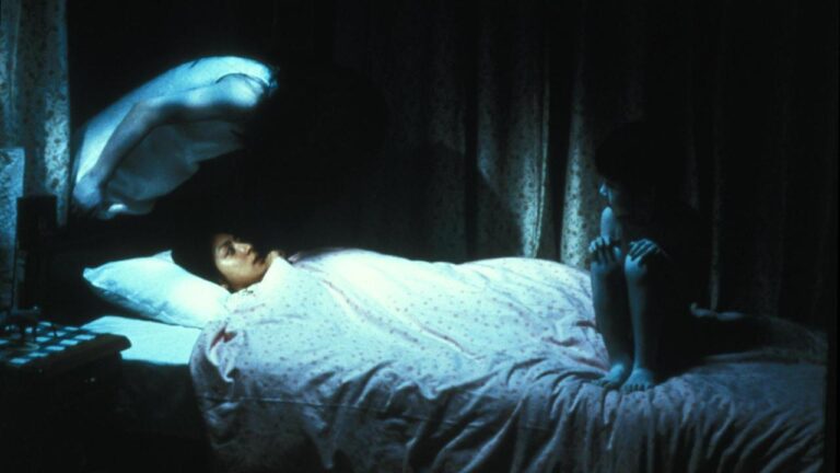 The Daily Orca - Ju-on: The Grudge (2002)